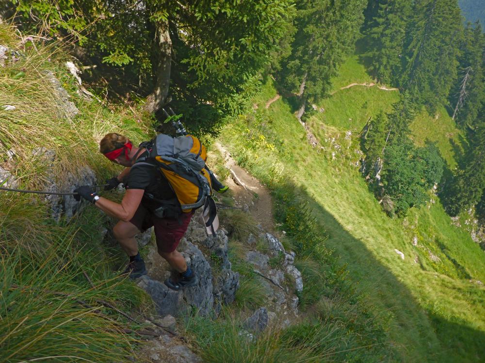 Sparber (46 Bildaufrufe)