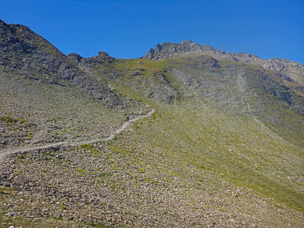 Lizumer Reckner (40 Bildaufrufe)