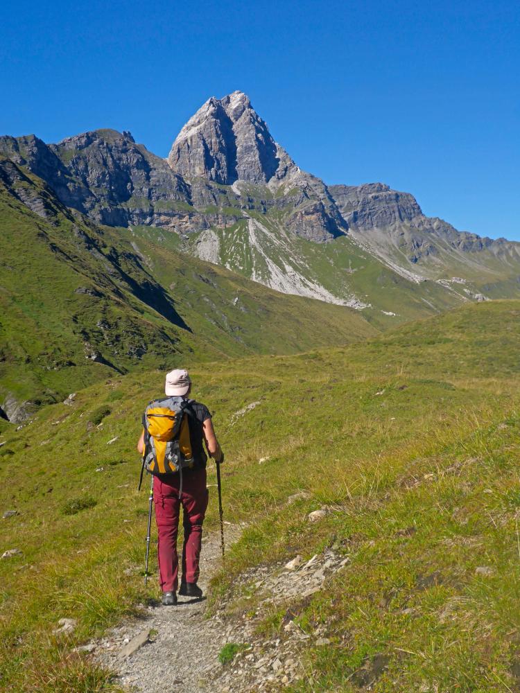 Lizumer Reckner (35 Bildaufrufe)