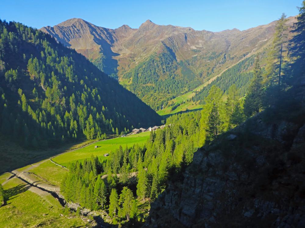 Weiße Spitze (57 Bildaufrufe)