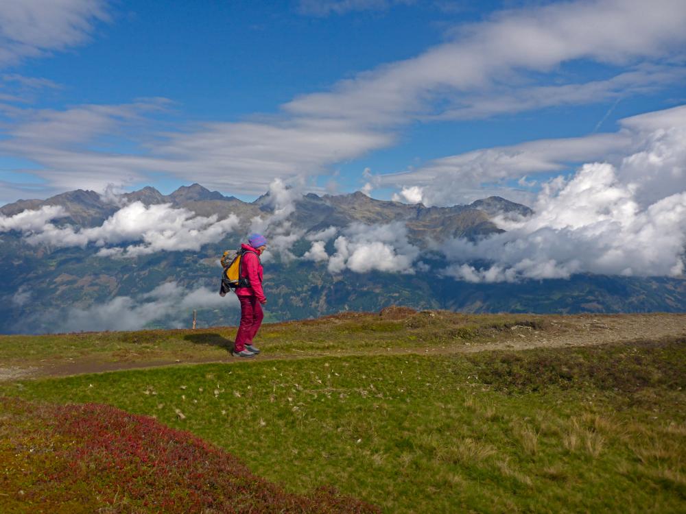 Böses Weibele (36 Bildaufrufe)