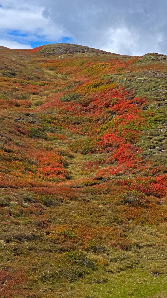 B&ouml;ses Weibele (37 Bildaufrufe)