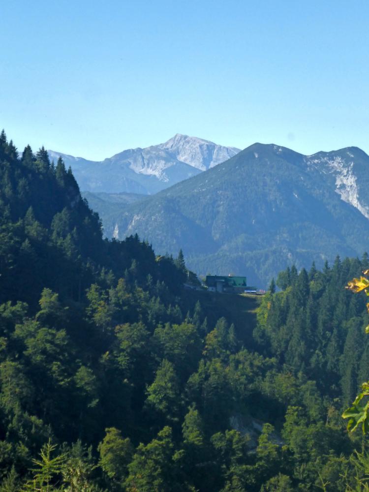 Almkogel (55 Bildaufrufe)
