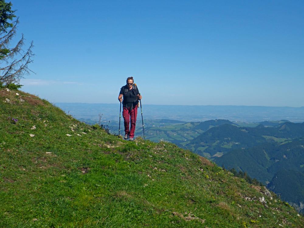 Almkogel (39 Bildaufrufe)