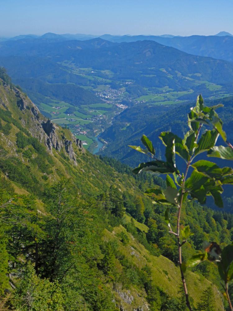 Almkogel (36 Bildaufrufe)