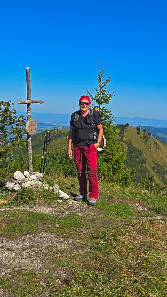Almkogel (51 Bildaufrufe)