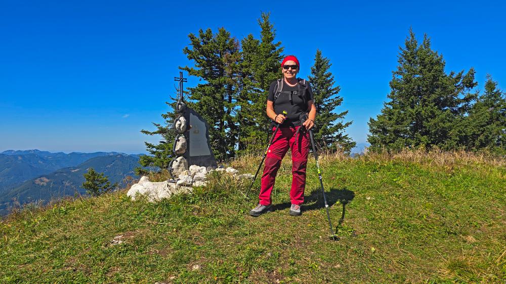 Almkogel (50 Bildaufrufe)