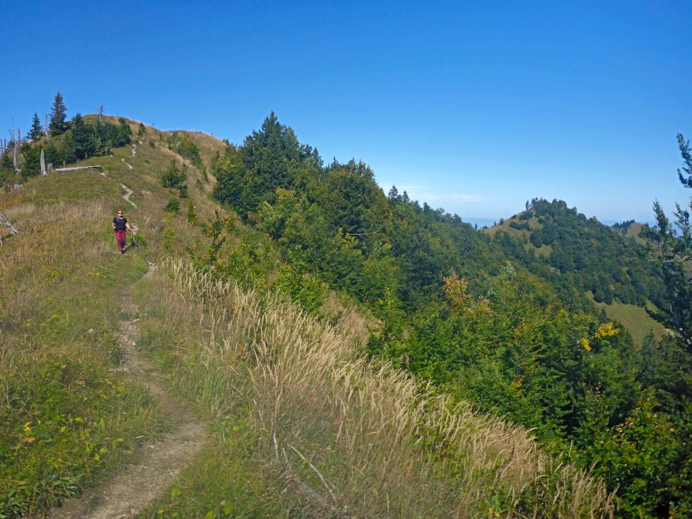 Almkogel (35 Bildaufrufe)