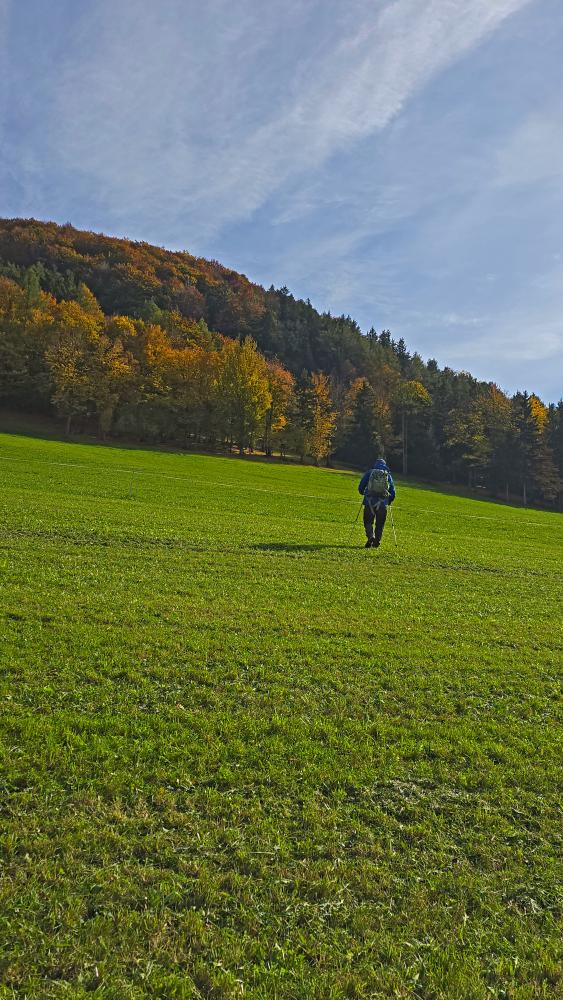 Hofberg (18 Bildaufrufe)