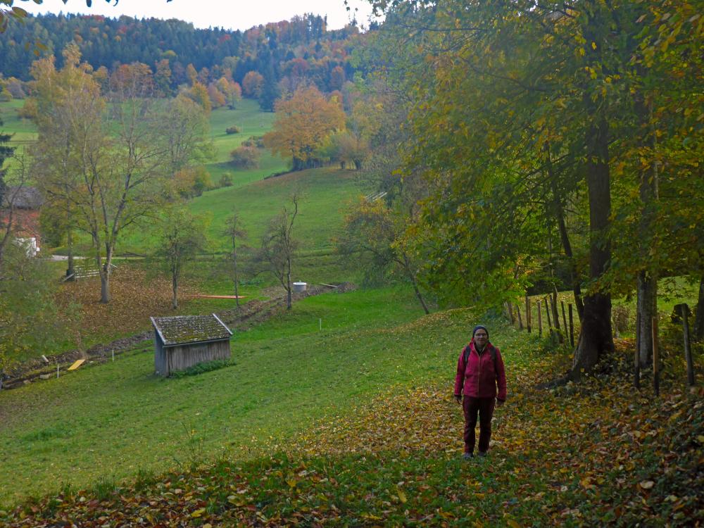 Hofberg (23 Bildaufrufe)