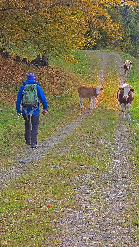 Hofberg (17 Bildaufrufe)