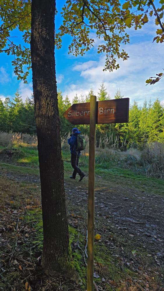 Silberne Birn (17 Bildaufrufe)