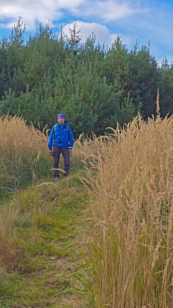 Silberne Birn (18 Bildaufrufe)