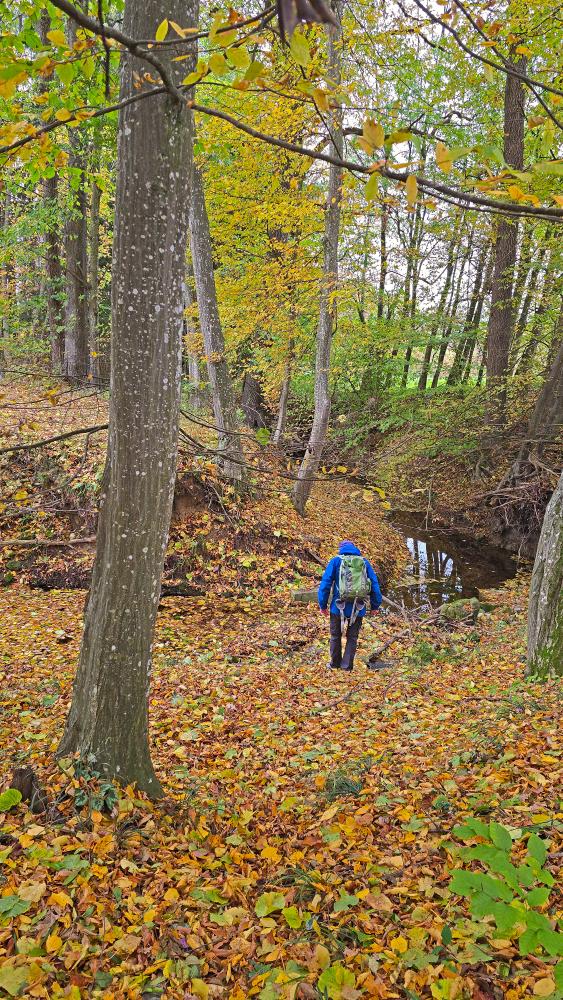 Kuhberg (24 Bildaufrufe)