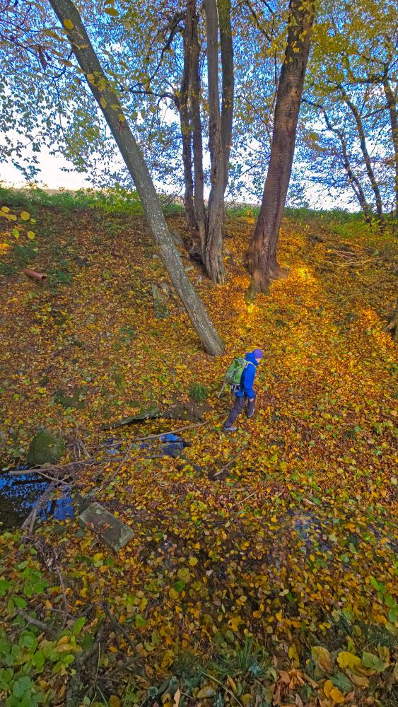 Kuhberg (32 Bildaufrufe)