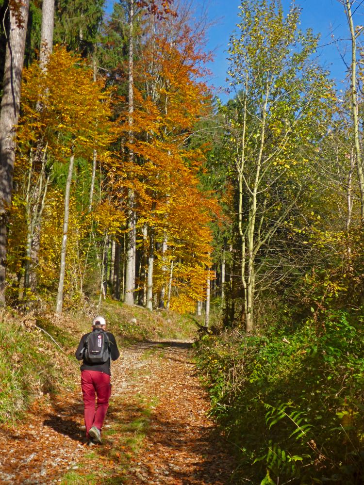 Rudolfshöhe (18 Bildaufrufe)