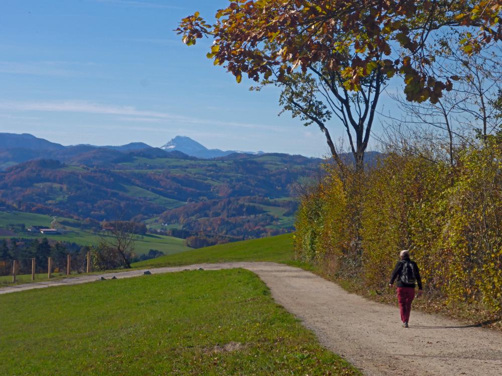 Rudolfshöhe (16 Bildaufrufe)