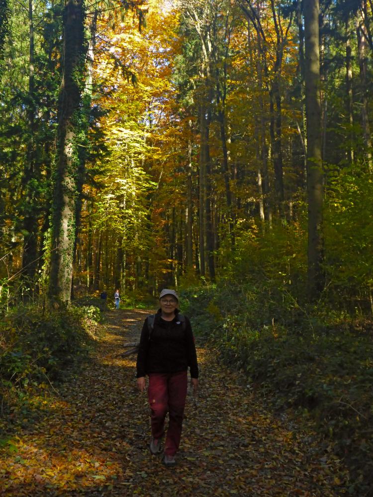 Rudolfshöhe (11 Bildaufrufe)