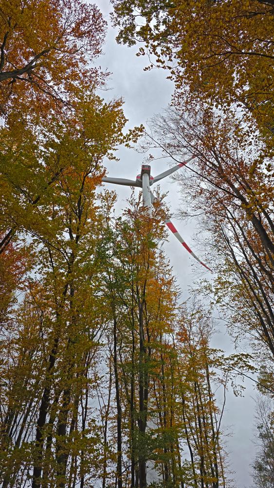 Schildberg (7 Bildaufrufe)