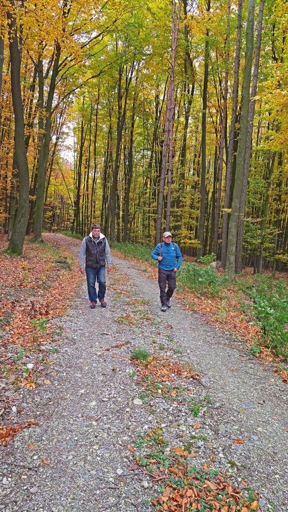 Schildberg (8 Bildaufrufe)