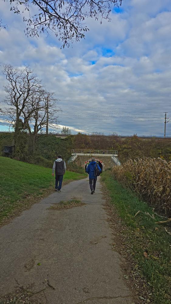 Schildberg (14 Bildaufrufe)