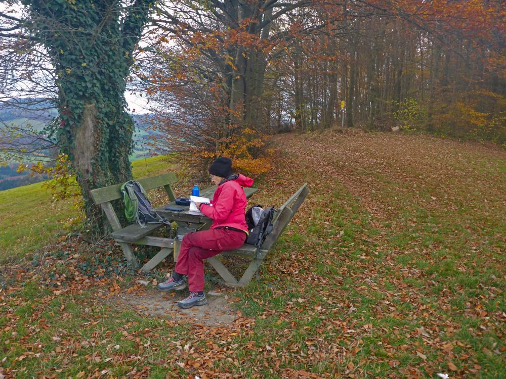 Plambachecker Höhe (44 Bildaufrufe)