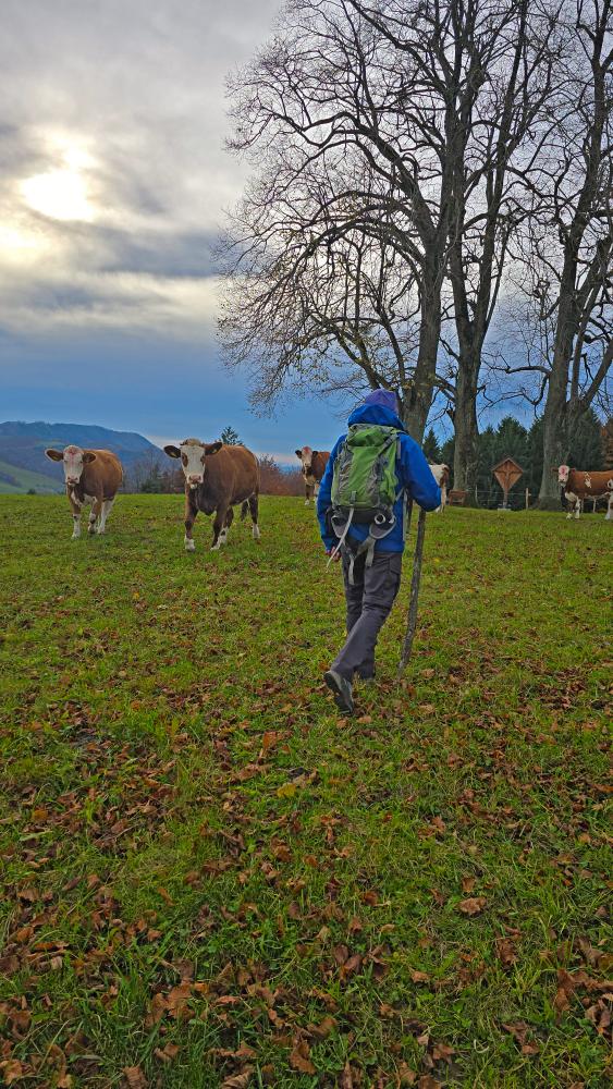 Plambachecker Höhe (34 Bildaufrufe)