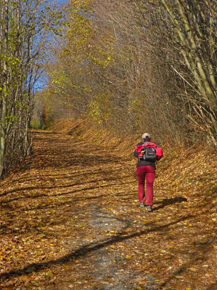Kaiserkogel (21 Bildaufrufe)