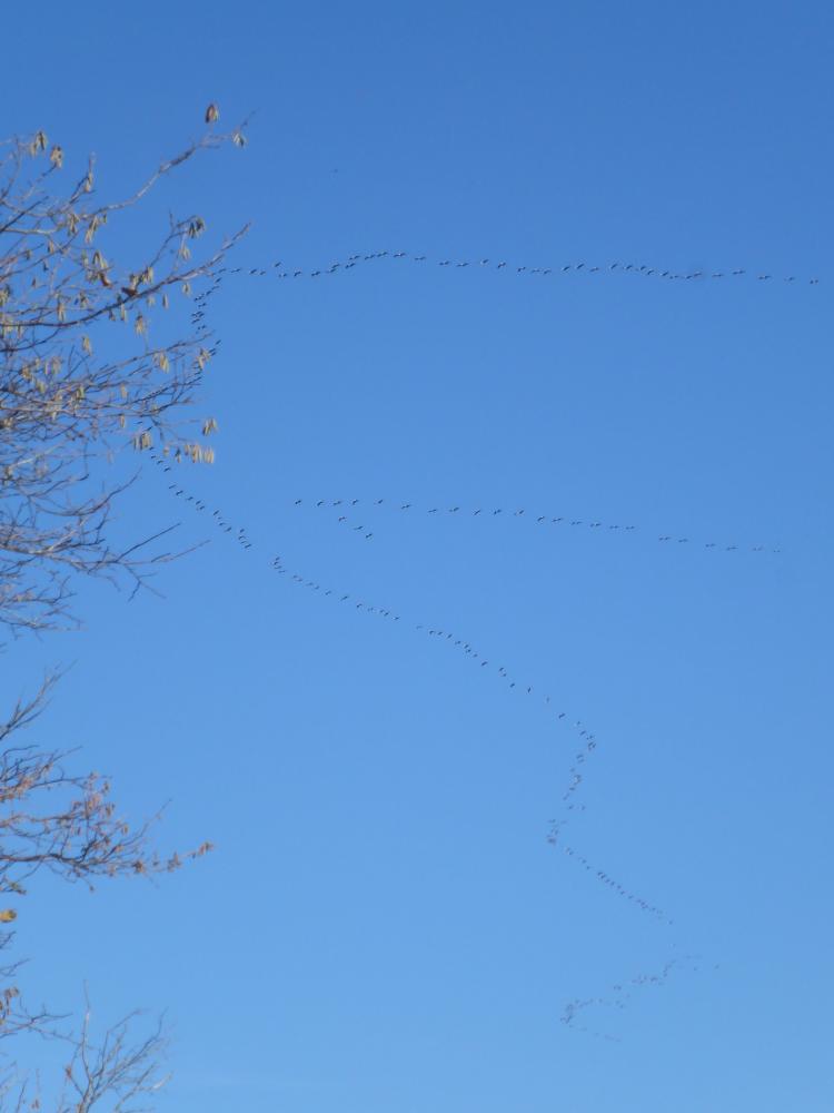 Kaiserkogel (24 Bildaufrufe)