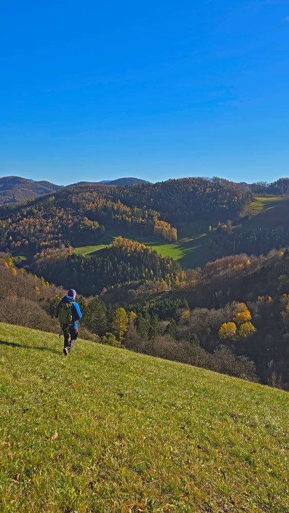 Kaiserkogel (30 Bildaufrufe)