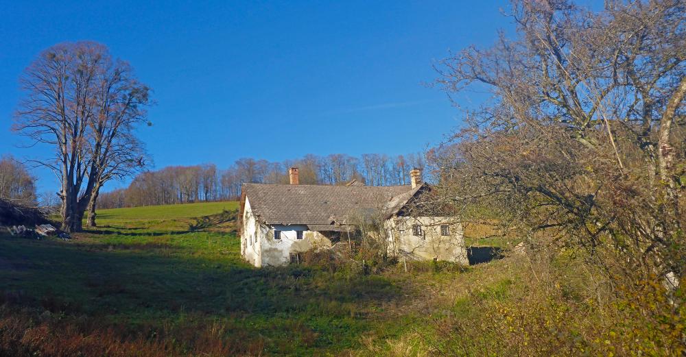 Kaiserkogel (25 Bildaufrufe)
