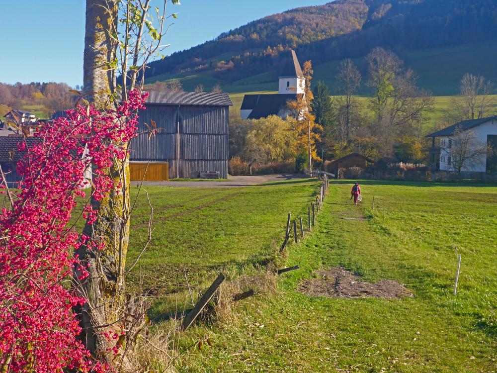 Kaiserkogel (31 Bildaufrufe)