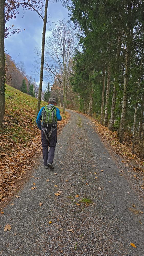 Gaisb&uuml;hel (34 Bildaufrufe)