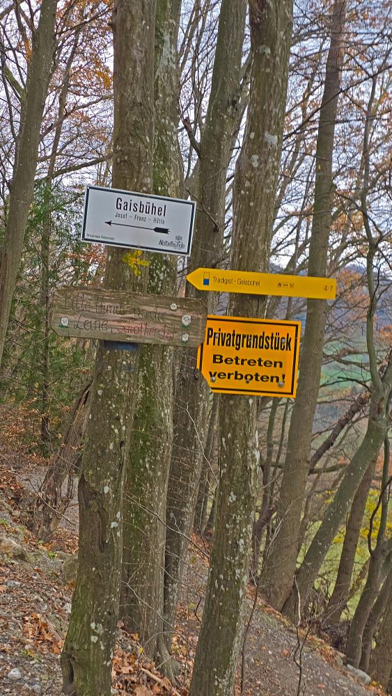 Gaisb&uuml;hel (33 Bildaufrufe)