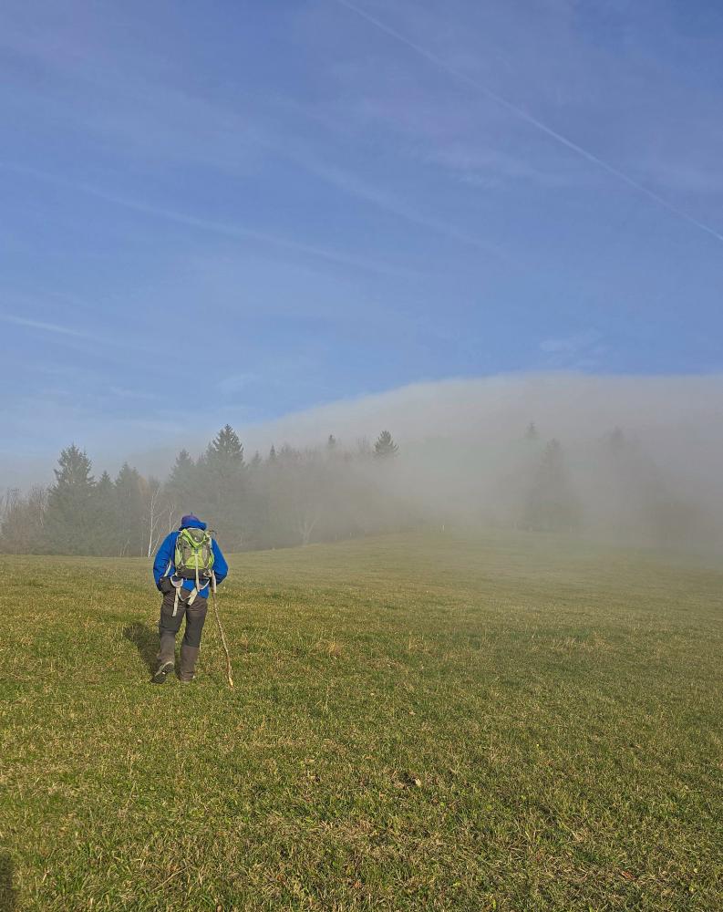 Frankenfelsberg (18 Bildaufrufe)