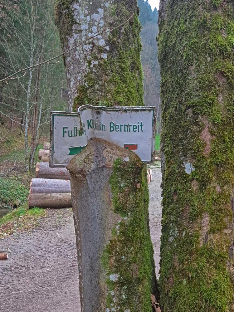 Frankenfelsberg (20 Bildaufrufe)