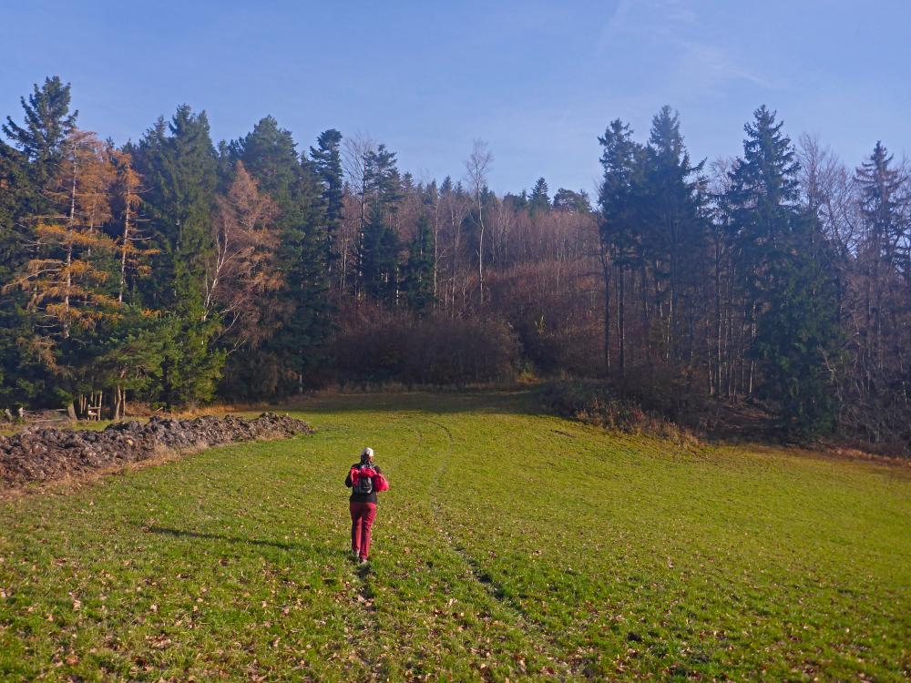 Fronberg (25 Bildaufrufe)