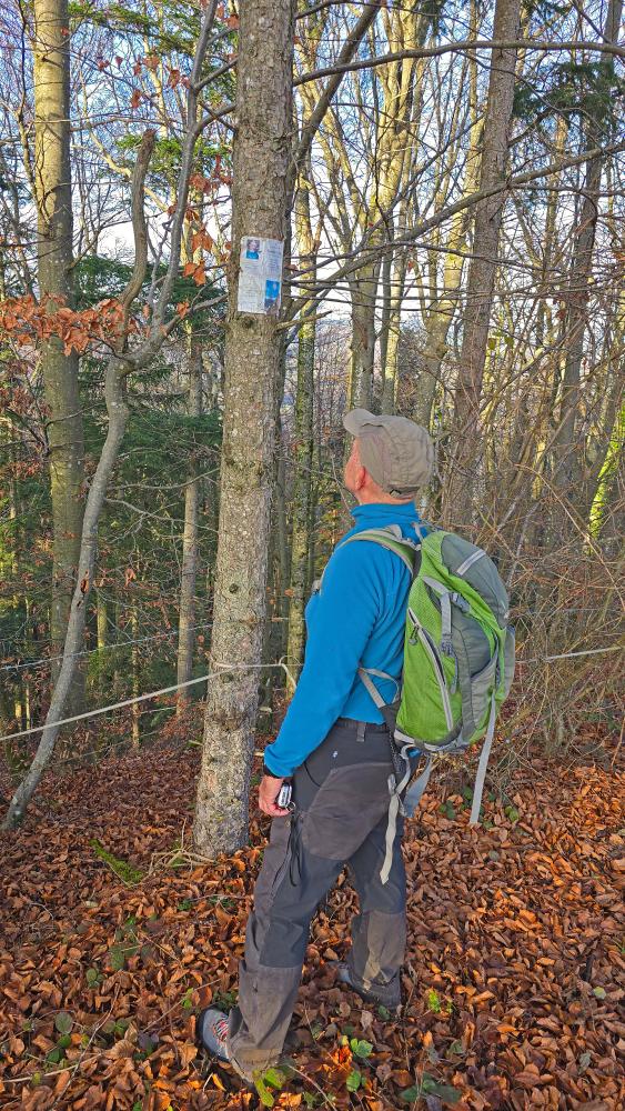 Fronberg (29 Bildaufrufe)