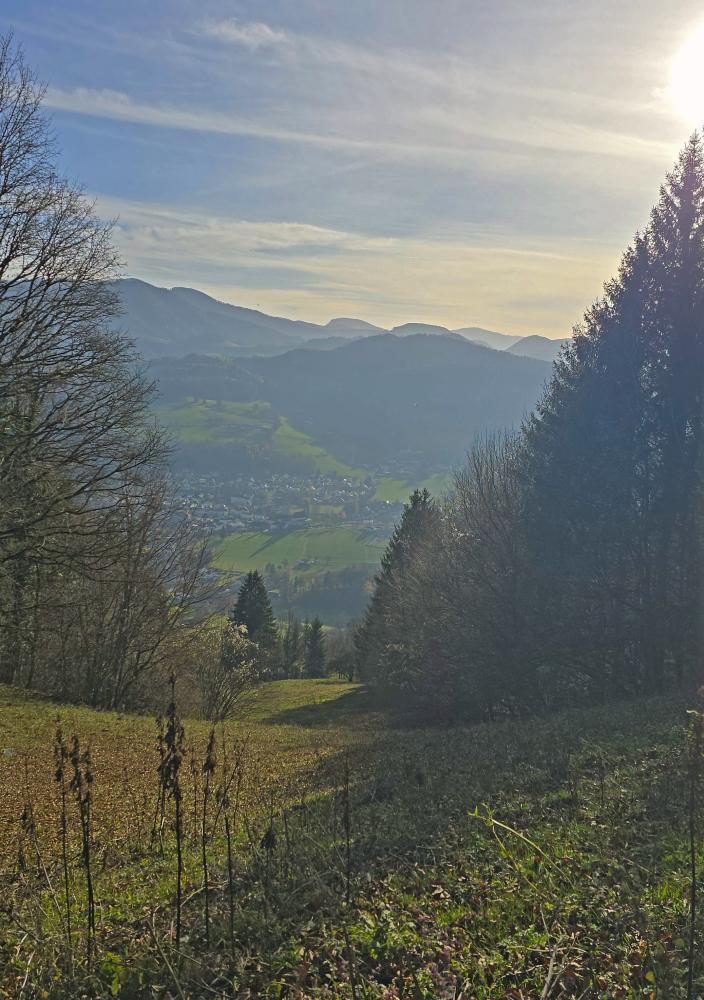 Fronberg (37 Bildaufrufe)