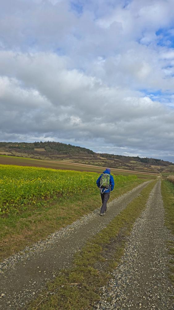 Wachtberg (26 Bildaufrufe)