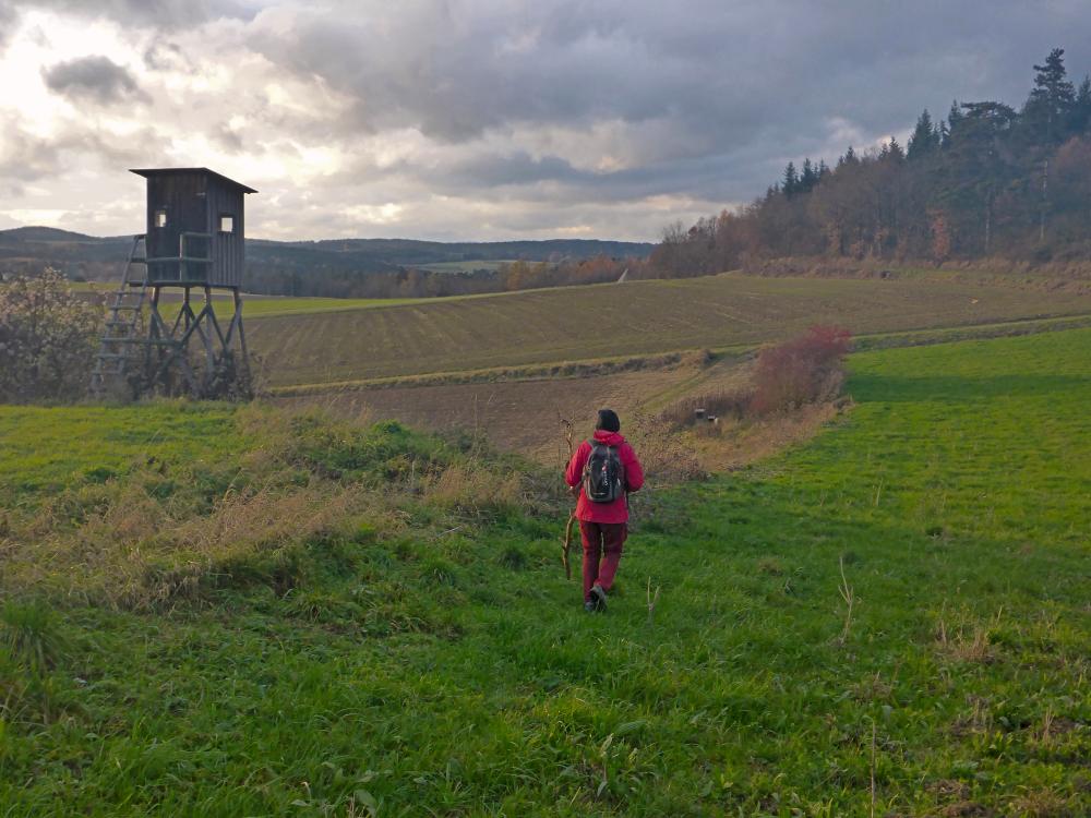 Wachtberg (27 Bildaufrufe)