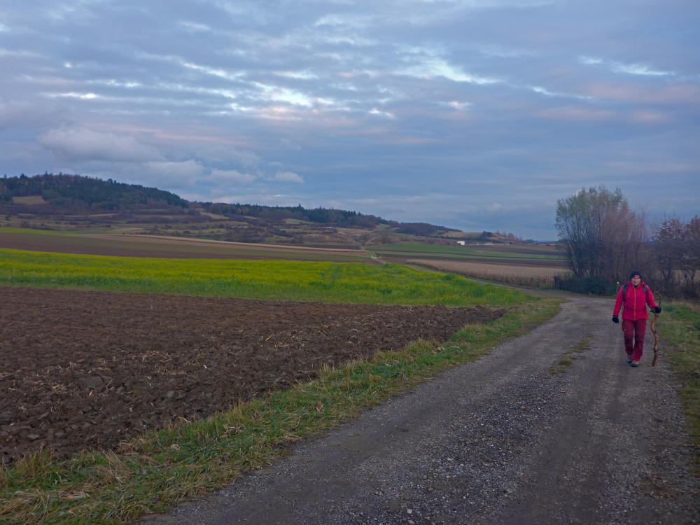 Wachtberg (27 Bildaufrufe)