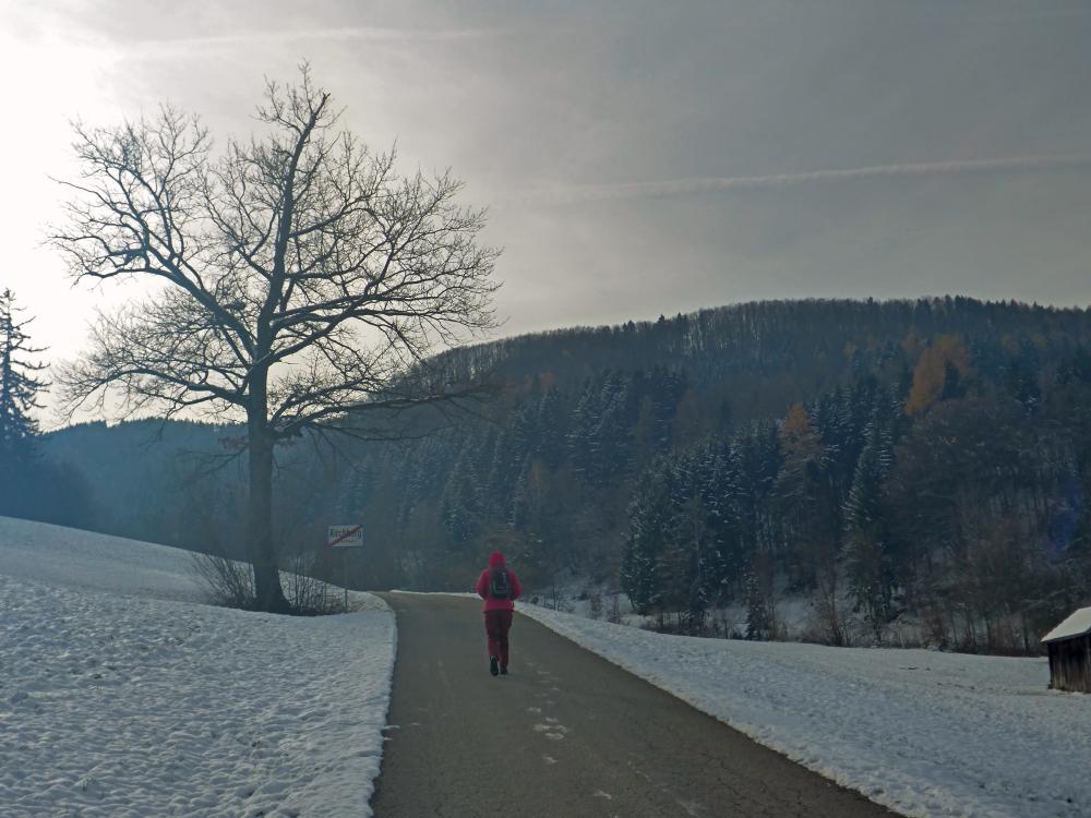 Ramsaukogel (33 Bildaufrufe)