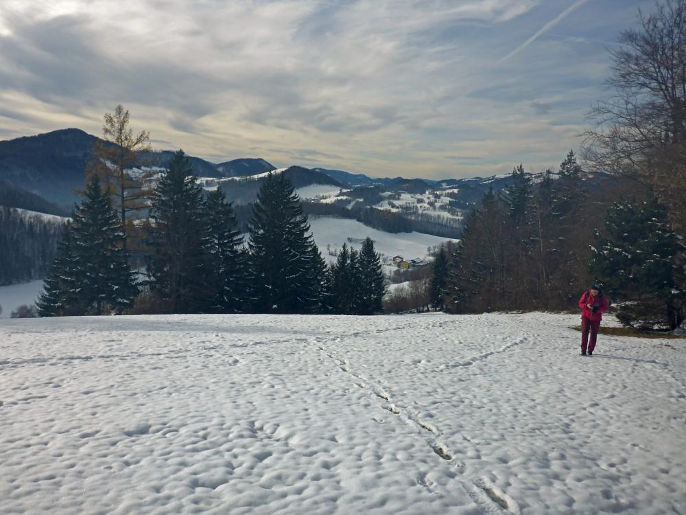 Ramsaukogel (38 Bildaufrufe)