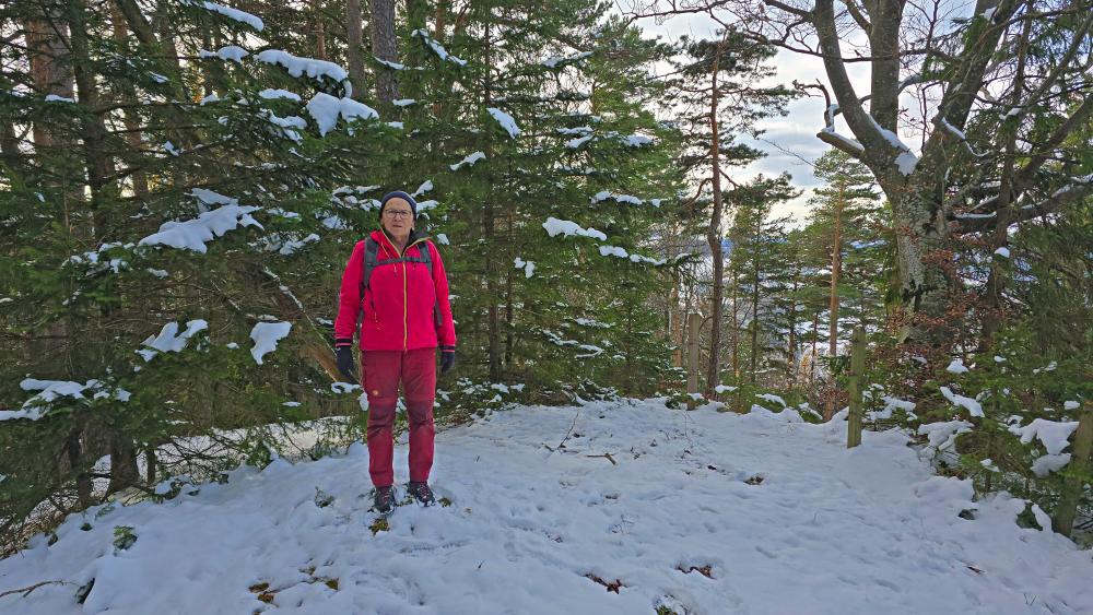 Ramsaukogel (35 Bildaufrufe)