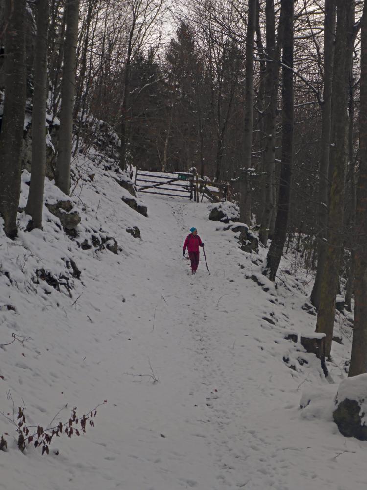 Ramsaukogel (38 Bildaufrufe)