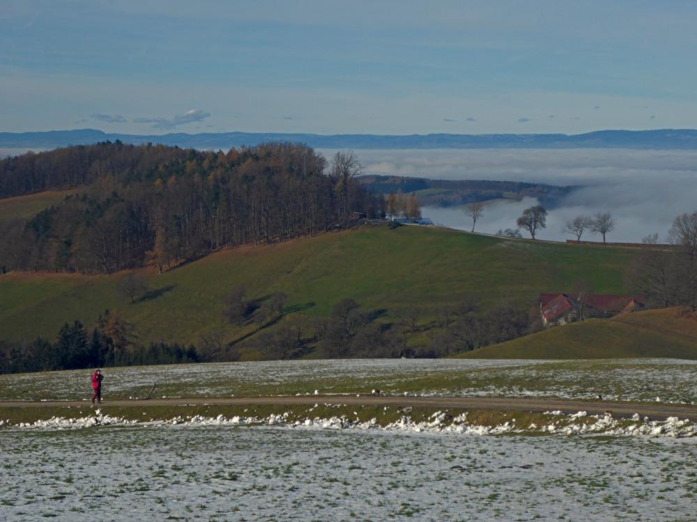 Steinwandleiten (34 Bildaufrufe)