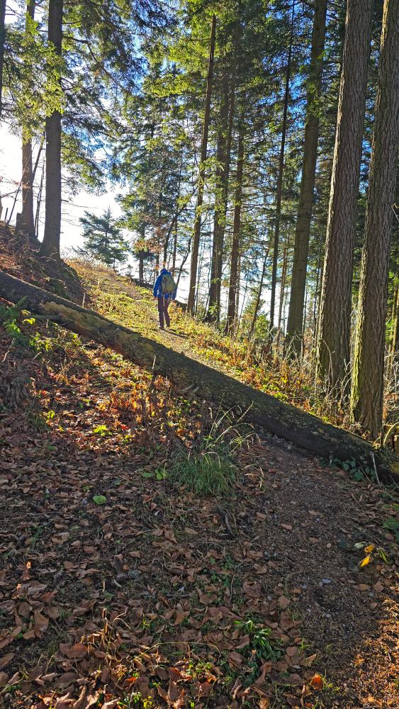 Steinwandleiten (33 Bildaufrufe)