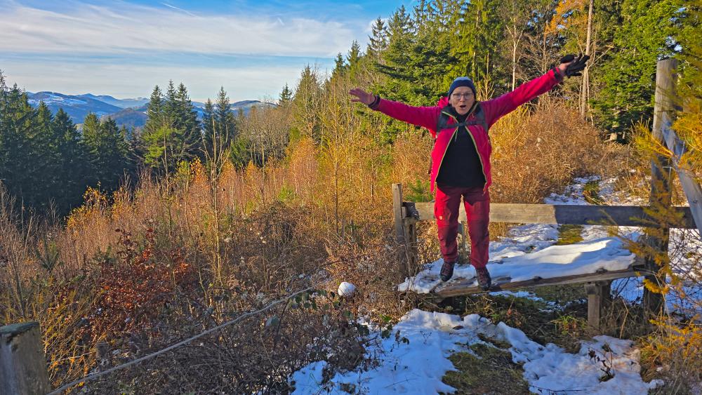 Steinwandleiten (27 Bildaufrufe)