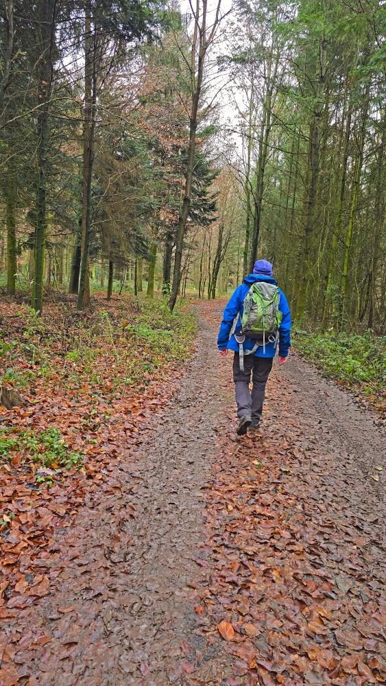 Reidlingberg (26 Bildaufrufe)